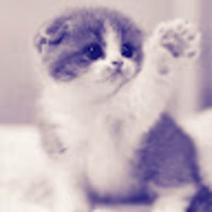 Meet your Posher, Autumn rathe